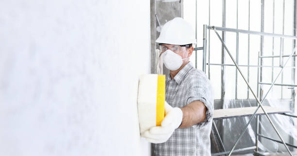 Best Basement Mold Removal  in Merced, CA