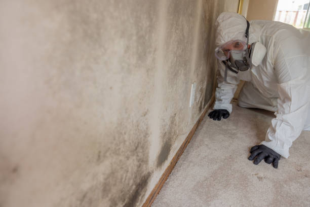 Best Mold Prevention Services  in Merced, CA